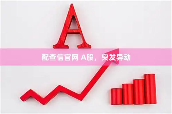 配查信官网 A股，突发异动