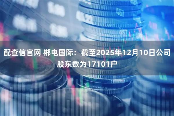 配查信官网 郴电国际：截至2025年12月10日公司股东数为17101户